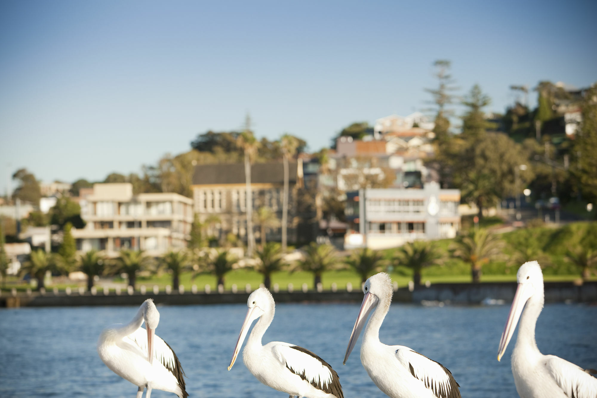 The Sebel Kiama Hotel Luaran gambar